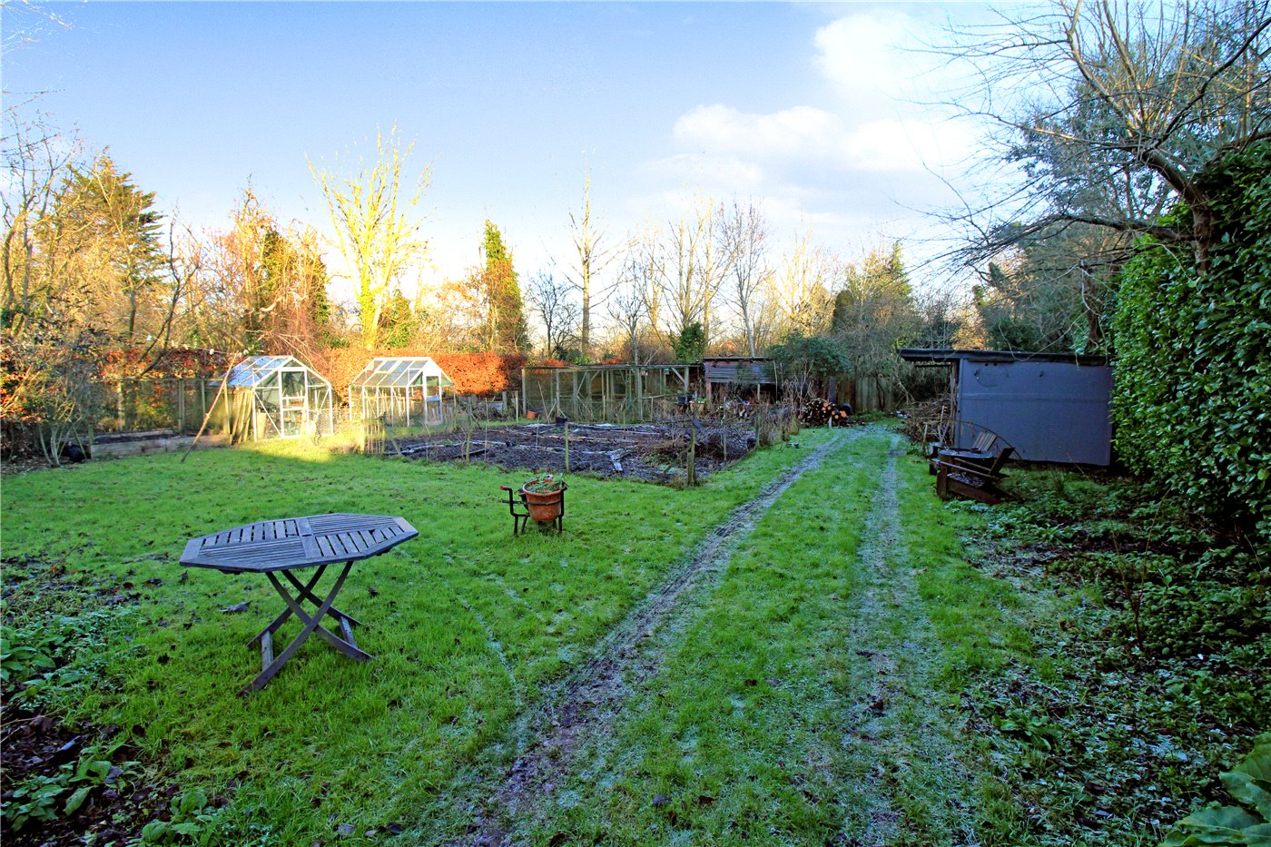 Garden